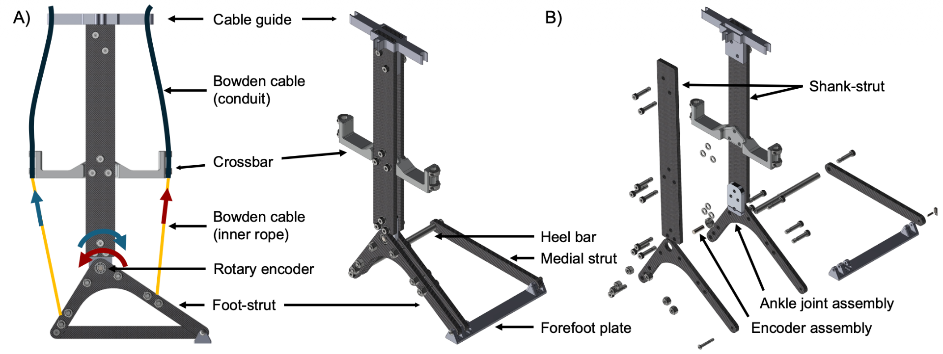 Bidirectional exoskeleton