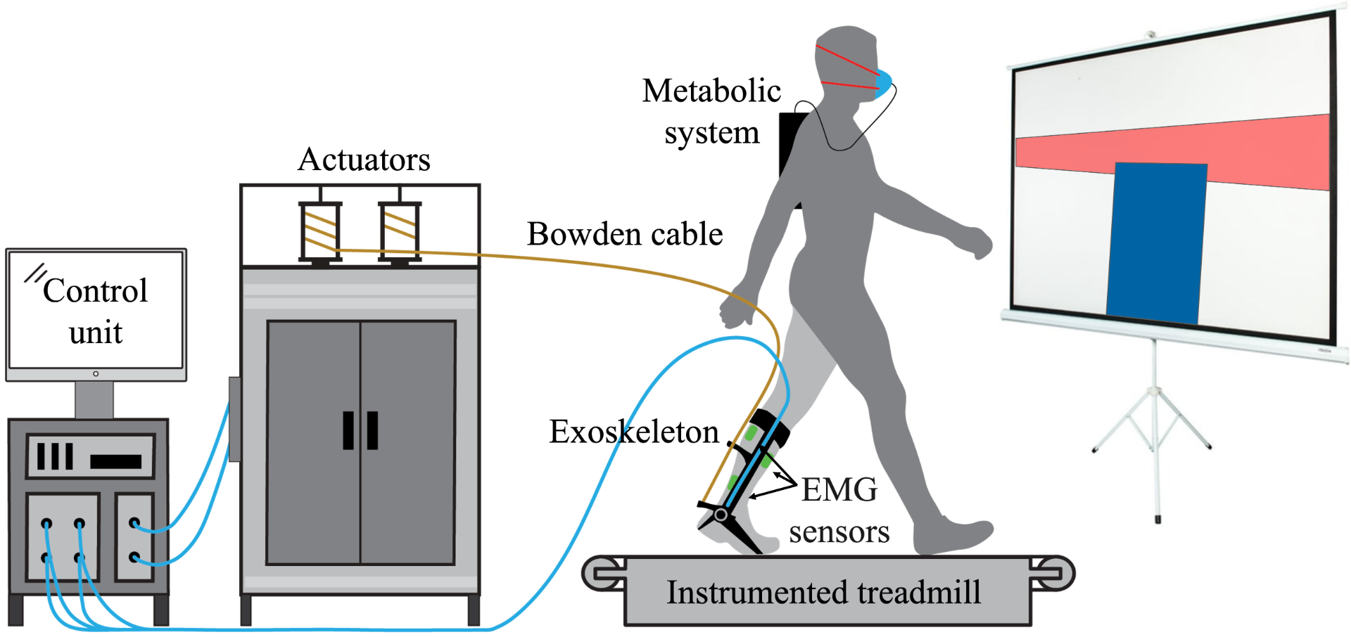 Visual feedback exoskeleton